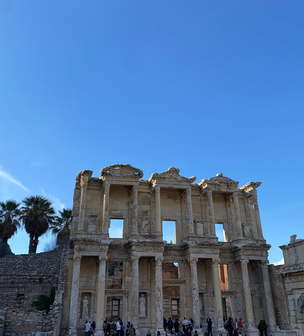 Taşlar, Tarih ve Kediler: İzmir Efes Antik Kenti