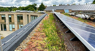 Biosolar Roof System