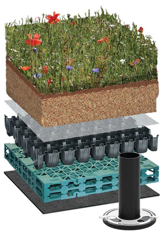 Cross-section of intensive types of green roofs layers