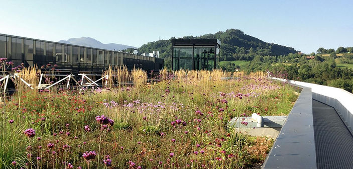 BioSolar Green Roof