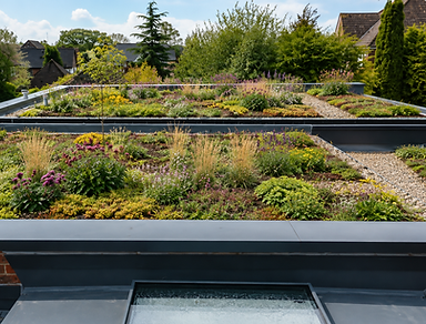 Biosolar Green Roof Semi Intensive