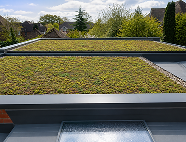 Biosolar Green Roof Extensive