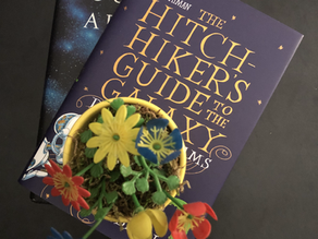 Douglas Adams, Memento Mori, and the Meaning of Life