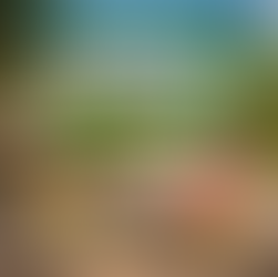 Pavez, Financez financing options for outdoor renovation projects by Lavé‑Uni Montréal (Techo‑Pro certified).