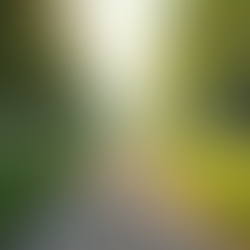 Installer des pavés Montréal : Guide complet pour une pose parfaite