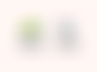 Mindset Effort and - or Intelligence