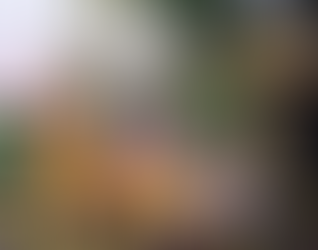 Navdha Bhakti – Shravanam