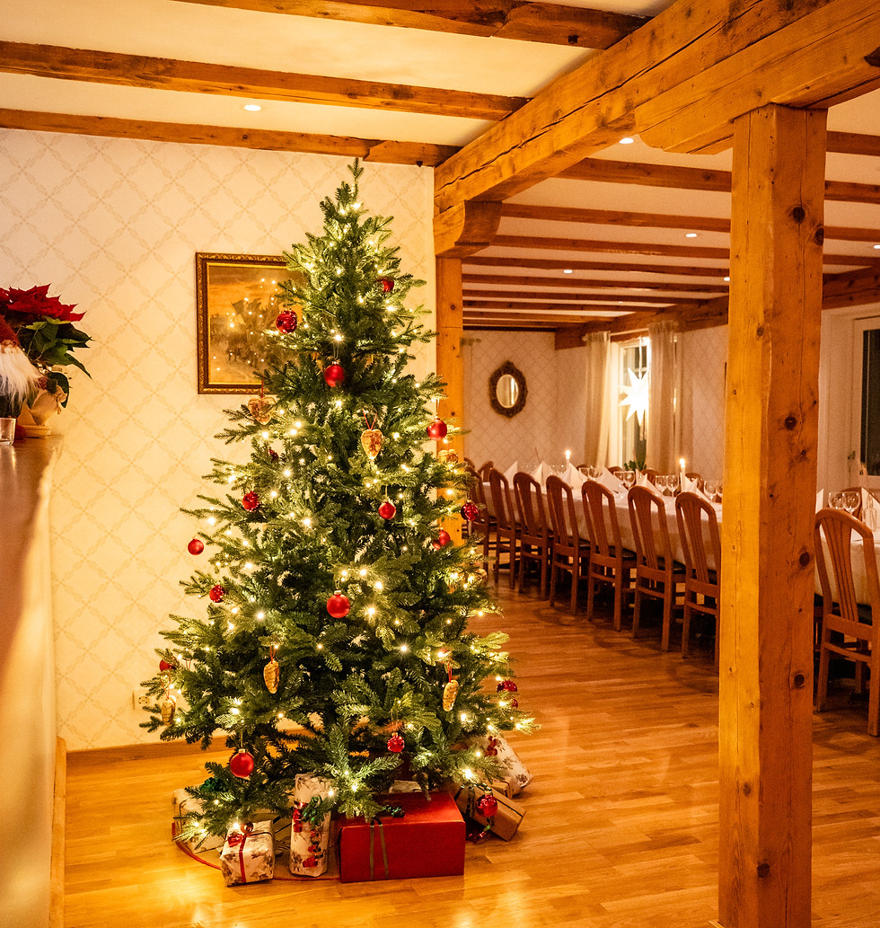 webb-vinter_hensbacka-16_edited.jpg
