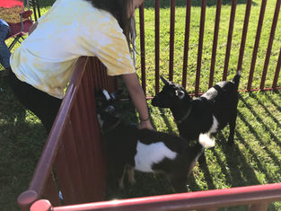 image_67218177.jpeg