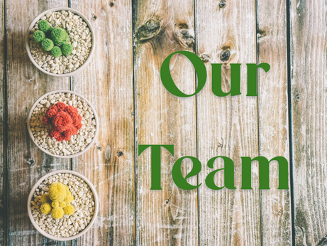 Meet our Team!