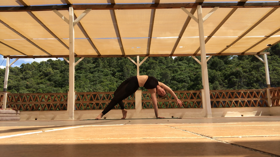 Photo 17-06-2019, 09 55 05.png