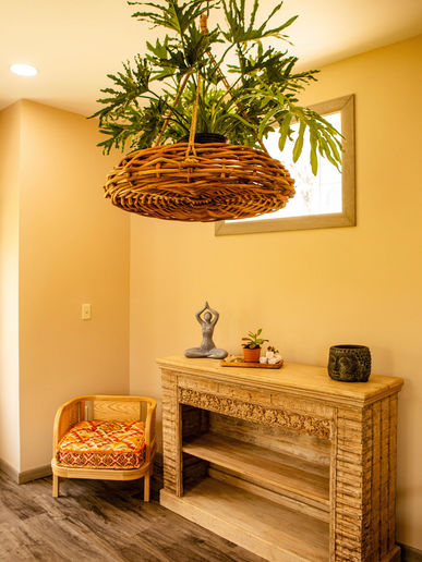 NK Spa area with hanging plant