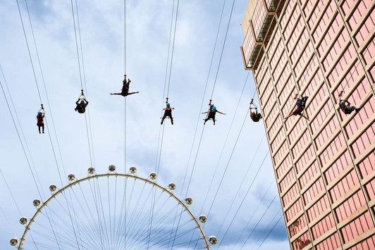 FLY LINQ Zipline Daytime