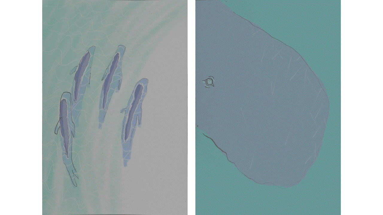 241025_top.gif