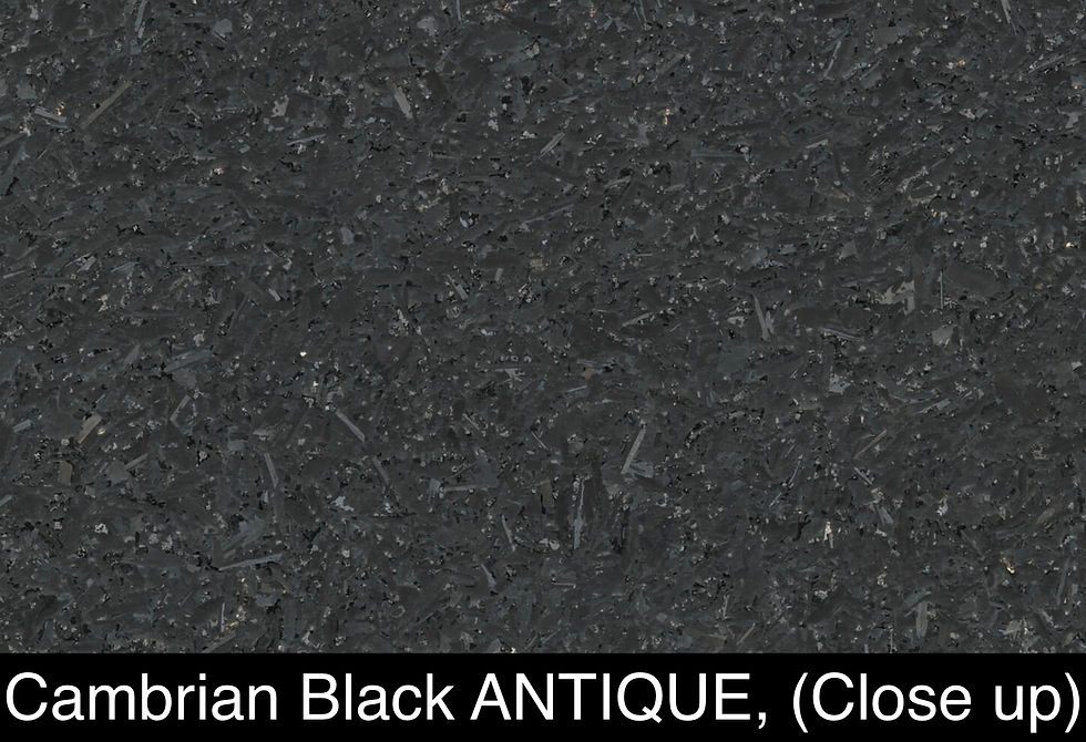Thumbnail: CAMBRIAN BLACK #A1525
