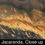 Thumbnail: JACARANDA A1654