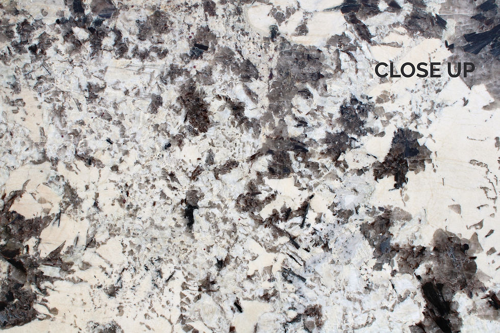 Thumbnail: DELICATUS WHITE A1321