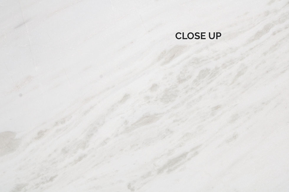 Thumbnail: RHINO WHITE LEATHER GS2501049