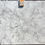 Thumbnail: SUPER WHITE A1673