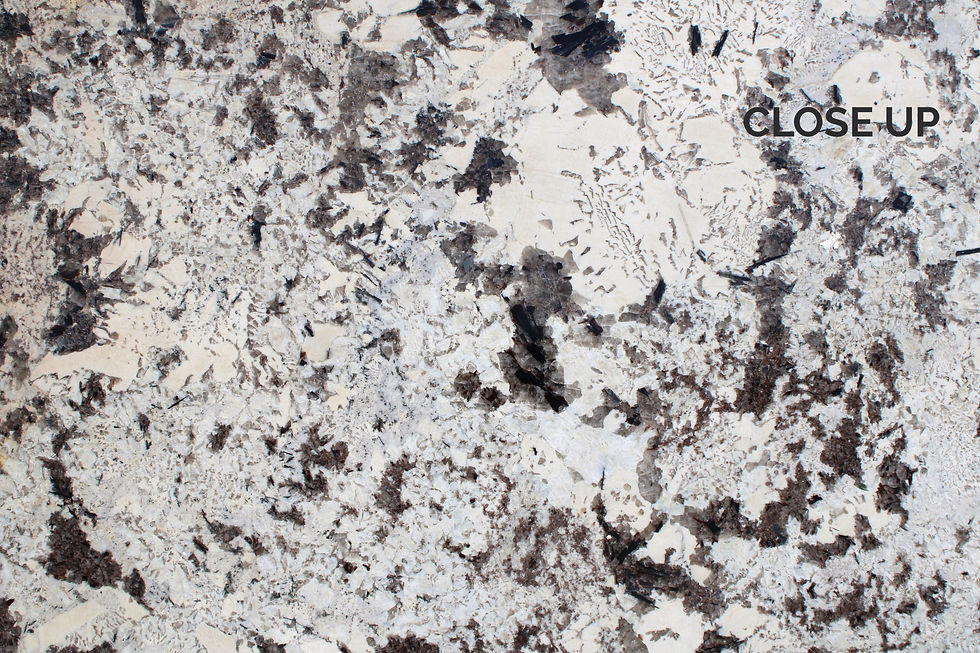 Thumbnail: DELICATUS WHITE A1321