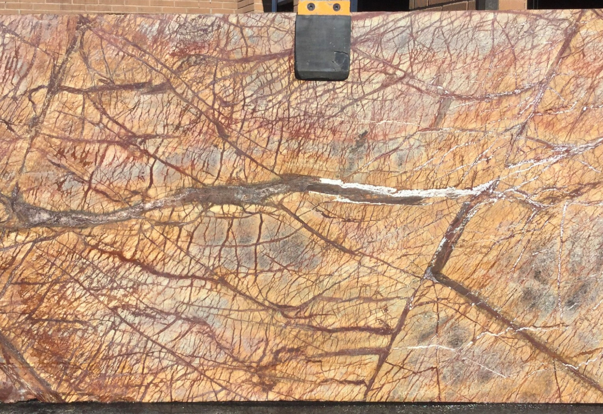 RAINFOREST BROWN #4085