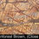 Thumbnail: RAINFOREST BROWN #4085