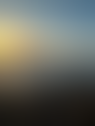 Amygdala and the stress response 