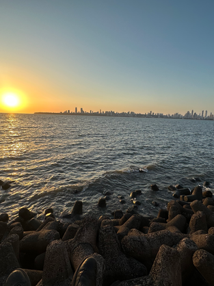 Amygdala and the stress response