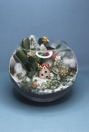 Holiday terrarium workshop 6_edited.jpg