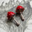 Thumbnail: Amanita earrings