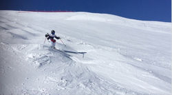 Capture d’écran 2018-02-14 à 15.29.23