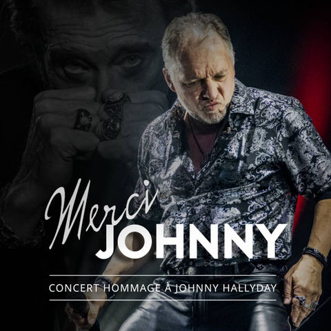 Show hommage Johnny Hallyday