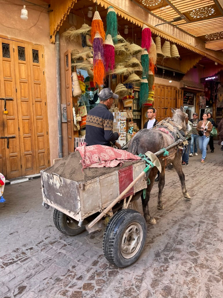 Marrakech-vibes-design-trips.jpeg