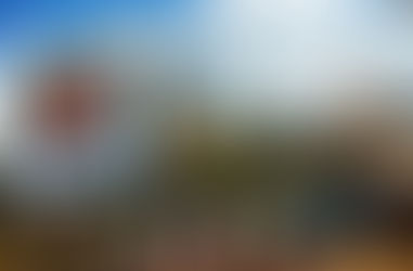 A dimensão missionária da Vocação Franciscana numa Igreja em saída