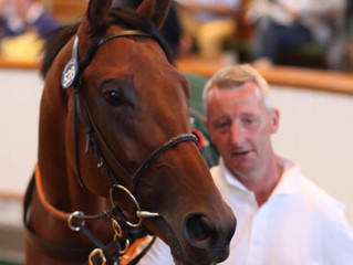 Shergar Cup double for Norris Bloodstock