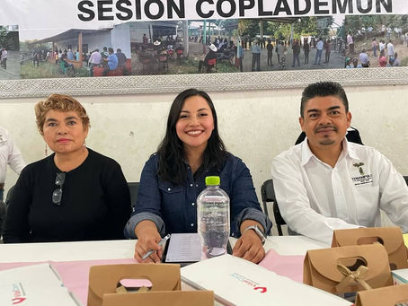EN TENAMPULCO, REALIZAN PRIMERA SESIÓN ORDINARIA DE COPLADEMUN