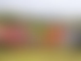 VISORIAS DE FÚTBOL EN TENAMPULCO, UN IMPULSO AL TALENTO JUVENIL