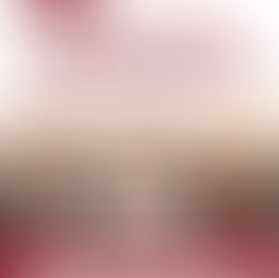 REPRESENTANTES DE NADIE: LA SIMULACIÓN LEGISLATIVA EN PUEBLA