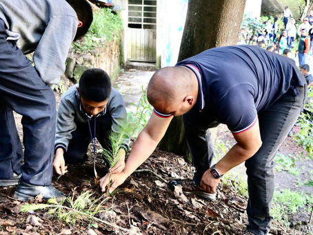 CONMEMORAN EL DÍA MUNDIAL DEL MEDIO AMBIENTE CON JORNADA DE REFORESTACIÓN