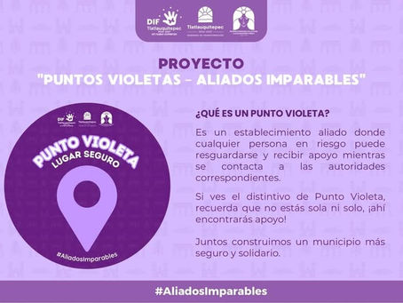 GOBIERNO DE TLATLAUQUITEPEC IMPLEMENTA "PUNTOS VIOLETAS" PARA GARANTIZAR LA SEGURIDAD DE LA POBLACIÓN