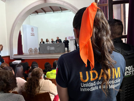 FORO 25N PROMUEVE HABILIDADES PARA RESPONDER DE MANERA EFECTIVA ANTE CASOS DE VIOLENCIA DE GÉNERO: ANTONIO RUMILLA
