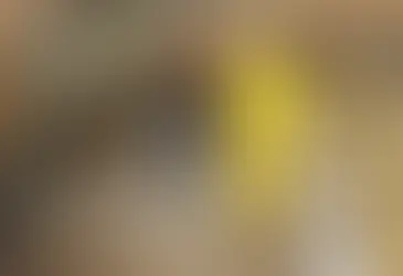 Mesin Cleaning Untuk Peternakan