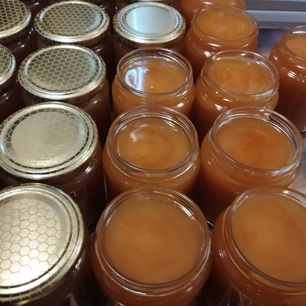 Vasetti di miele artigianale di Apicoltura Besa Fanti a Bologna.