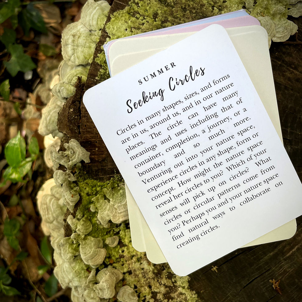 Thumbnail: Seasonal Forest Bathing Card Deck