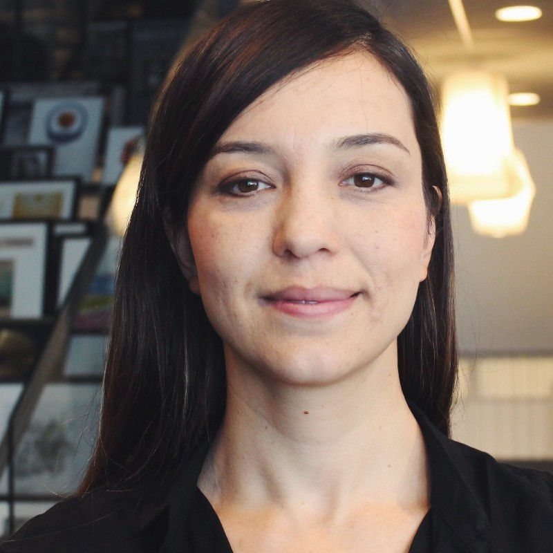 Decision-making coaching services for professionals