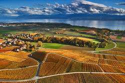 Photographie aérienne drone helico
