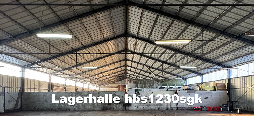 Feuerverzinktes Hallentragwerk aus Stahlrahmen, Pfetten, Stahlseil-Aussteifung und Stahltrapez-Dach. Große, stützenfreie Fläche - Ideal für Logistik, Industrie und Lagertechnik. Referenz hbs1230sgk.