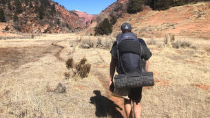 Zion NP: Lamb? Iodine? Whiskey? COVID-19? Burger King?