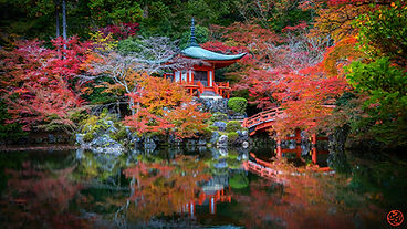 daigoji 10_edited.jpg