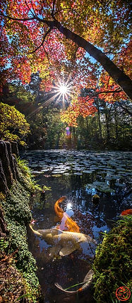 DSC_8798-1_edited.jpg